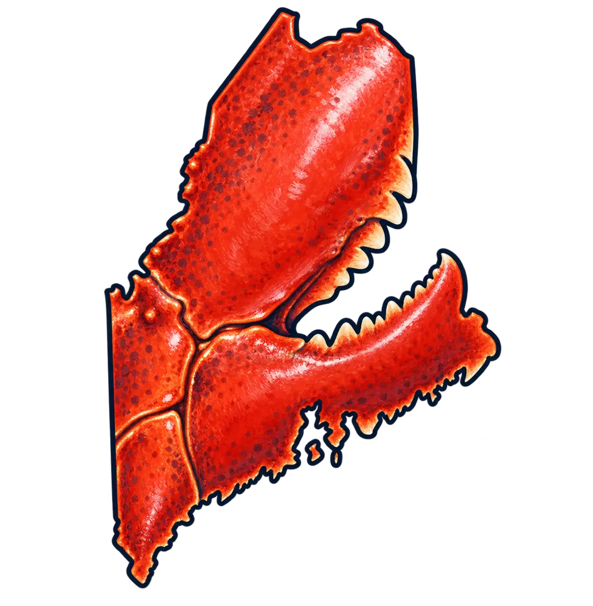 Maine state silhouette transformed into lobster claw